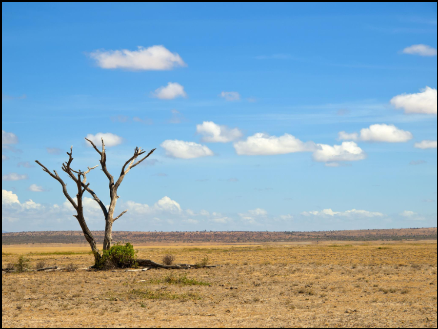 How Communities Are Adapting to a Hotter Climate Across Africa